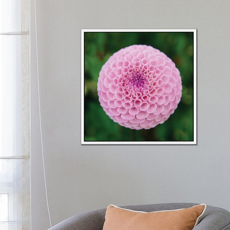 Dahlia Twins by Albert Koetsier - Gallery-Wrapped Canvas Giclée on Canvas, White Framed, 45.72 cm H x 45.72 cm W