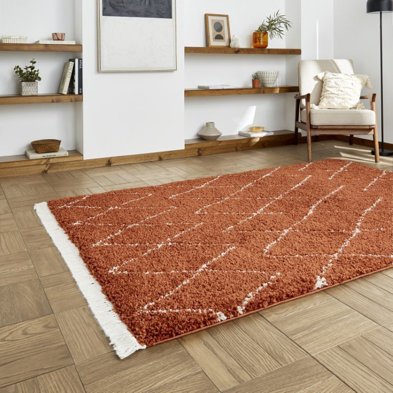 Archuleta area rug Machine Woven Rust, Rectangle 120 x 170cm