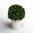 Travers Boxwood Topiary in Terracotta Pot-808365223
