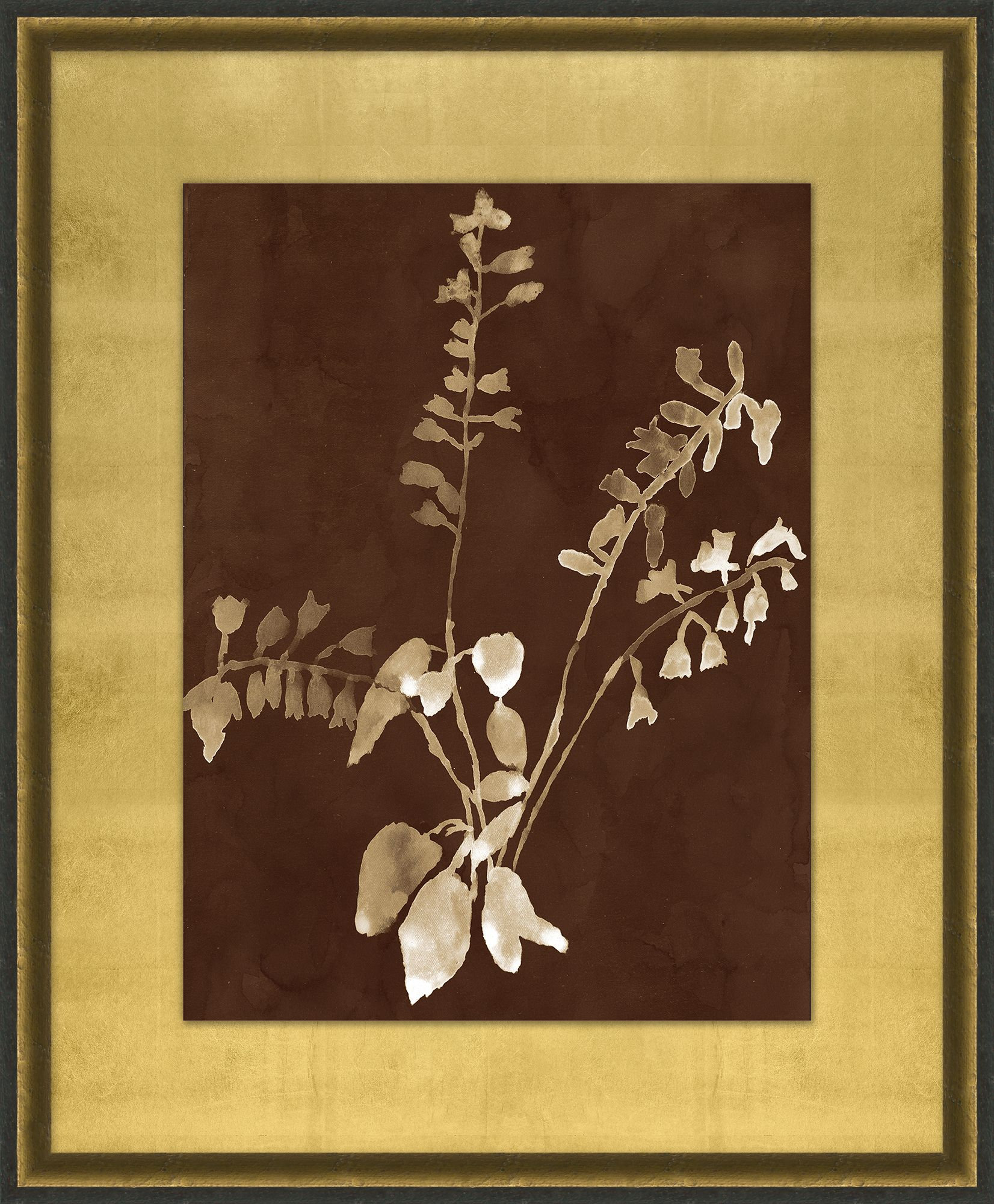 Wendover Art Group Botanist Study 3 | Perigold