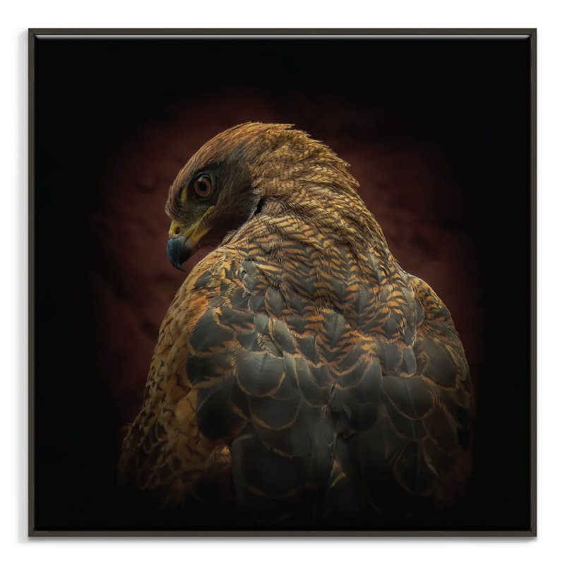 Print on Canvas, Black, 102cm H x 102cm W