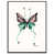 Black Floater Framed