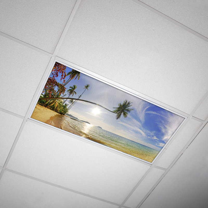 Housses pour lampes de plafond Beach Classroom
