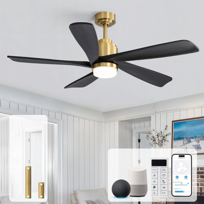 Damecia 52'' Ceiling Fan with LED Lights