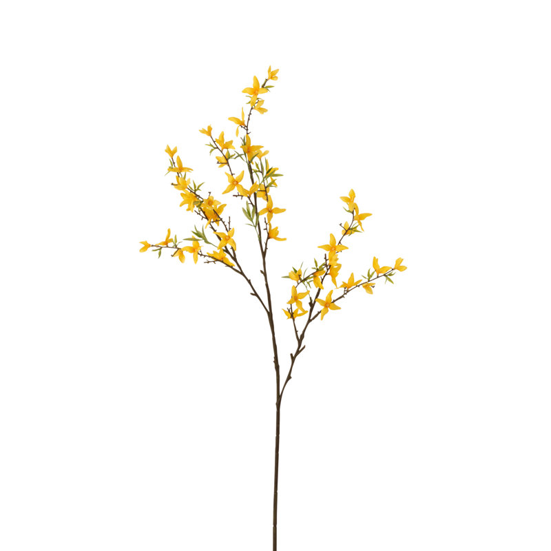 Forsythia Arrangement