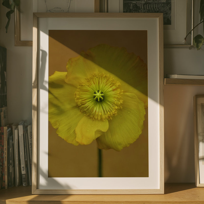 Wrapped Canvas Print, 76.2 cm H x 50.8 cm W