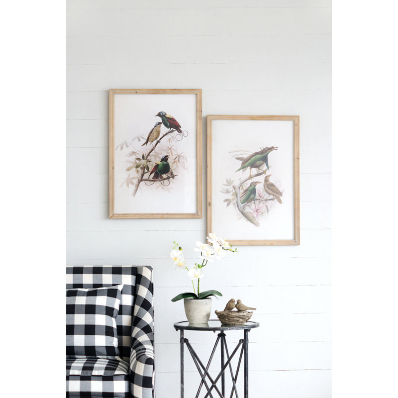 Ensemble de 2 oiseaux, reproduction encadrée