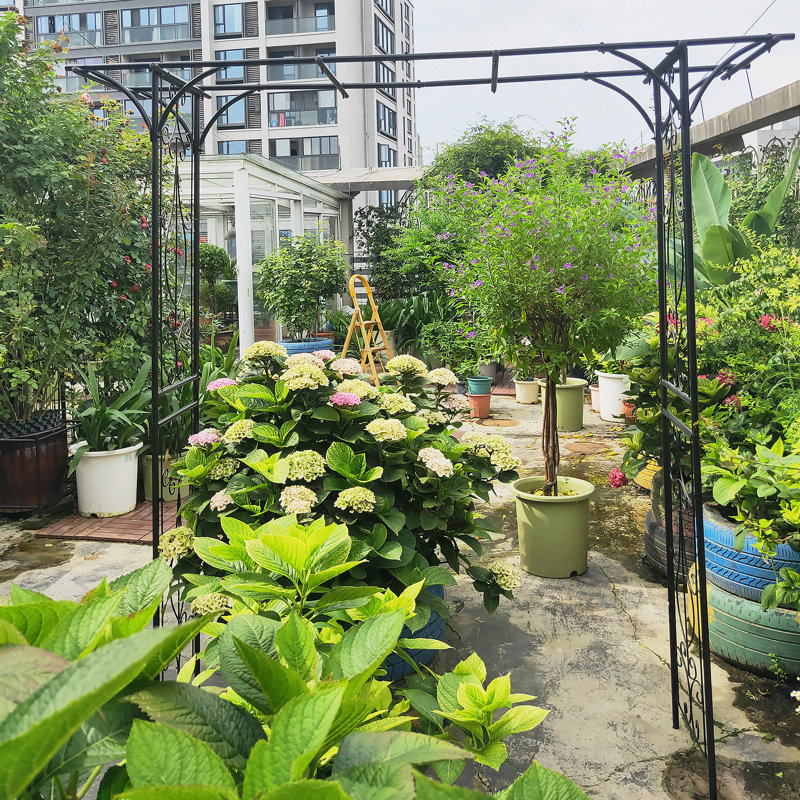 Arche de jardin polyvalente en métal pour plantes grimpantes, rehaussant la beauté extérieure