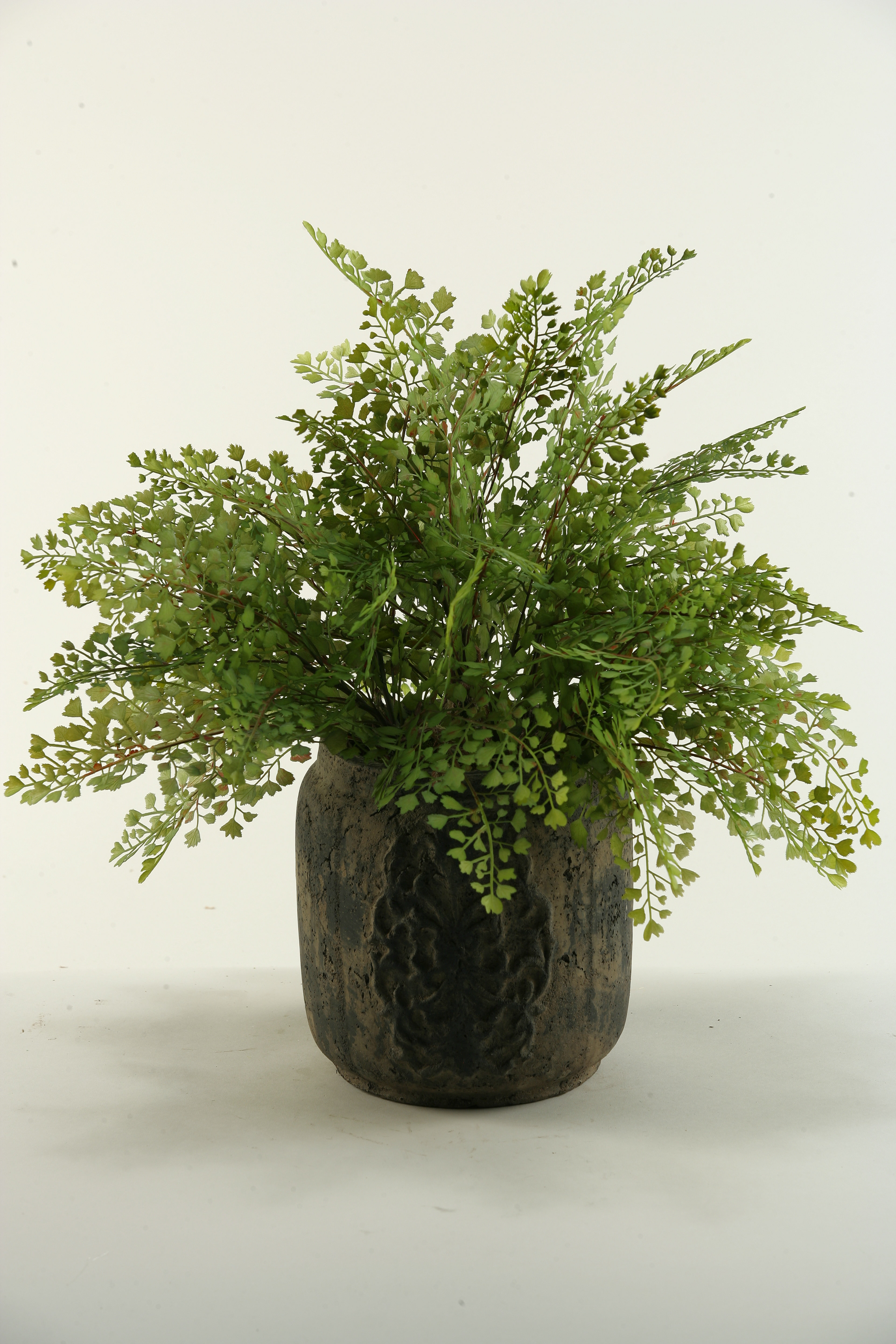 D & W Silks 20'' Faux Fern Plant in Ceramic Planter & Reviews Wayfair