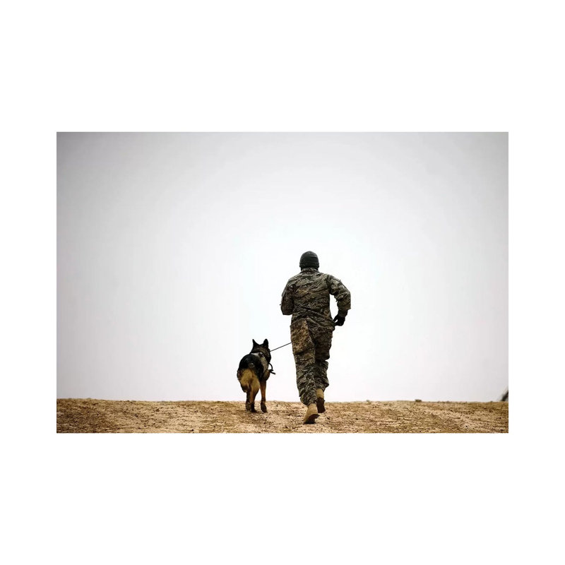 A Dog Handler And His Military Working Dog Take A Brisk Walk - Wrapped Canvas Print, 20.32 cm H x 30.48 cm W