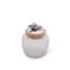 Sea And Shore Glass Jar-1686680533