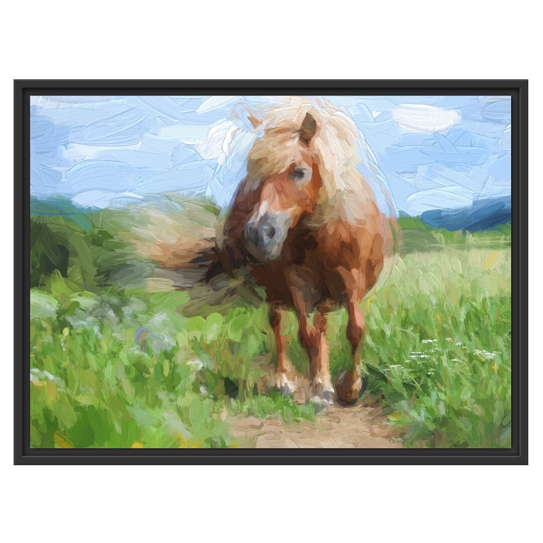 Gerahmtes Wandbild Shetlandpony auf der Wiese Kunst