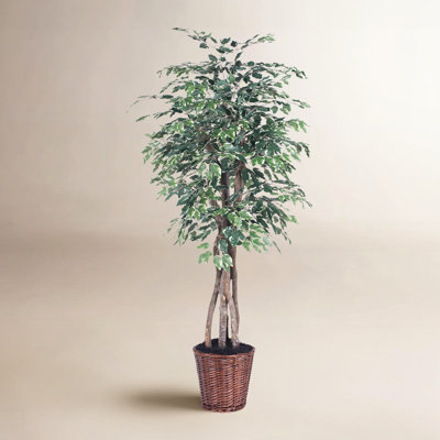 72'' Faux Tree in Wicker/Rattan Basket