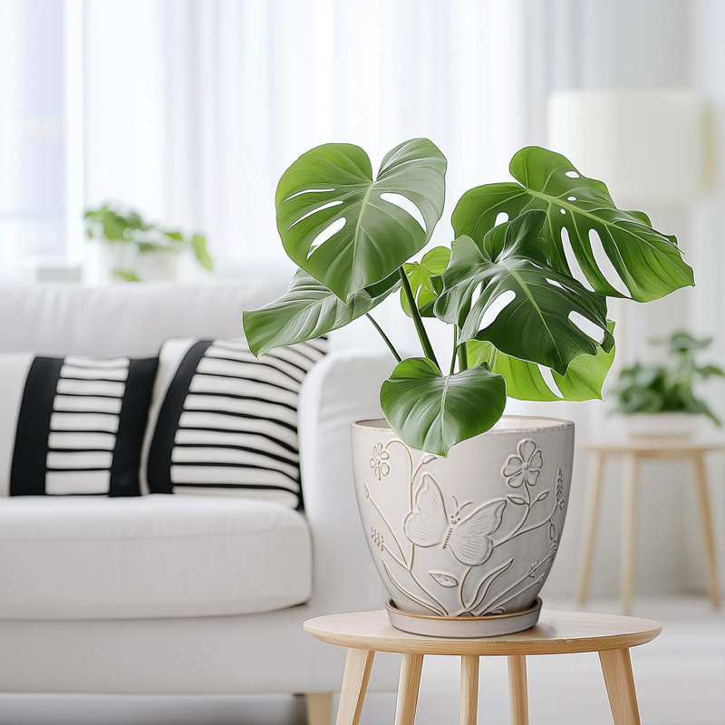 8" White Ceramic Planter With Drainage & Saucer