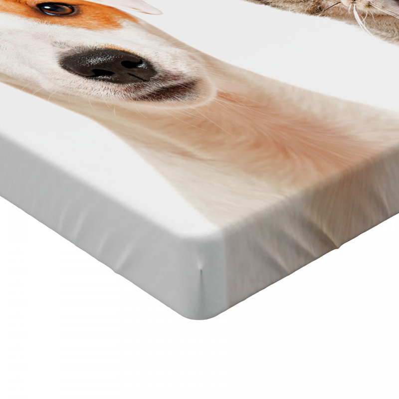 Microfiber Fitted Sheet, Full Fitted Sheet