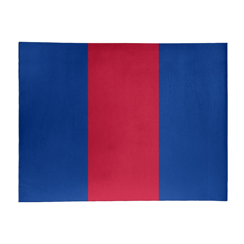 Tapis à rayures en poly-bleu buffalo, Rectangle 4 pi x 6 pi