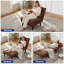 Upholstered Accent Chair-1414441656-1414441660