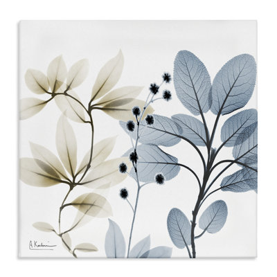"Modern Herb Sprigs On Canvas" par Albert Koetsier, impression