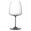 RIEDEL Winewings Pinot Noir/Nebbiolo Wine Glass
