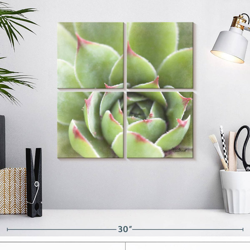 Garden Succulents III, H 18 po x l 18 po