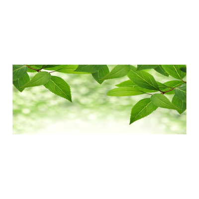 Green Leaves - No Frame Print on Canvas