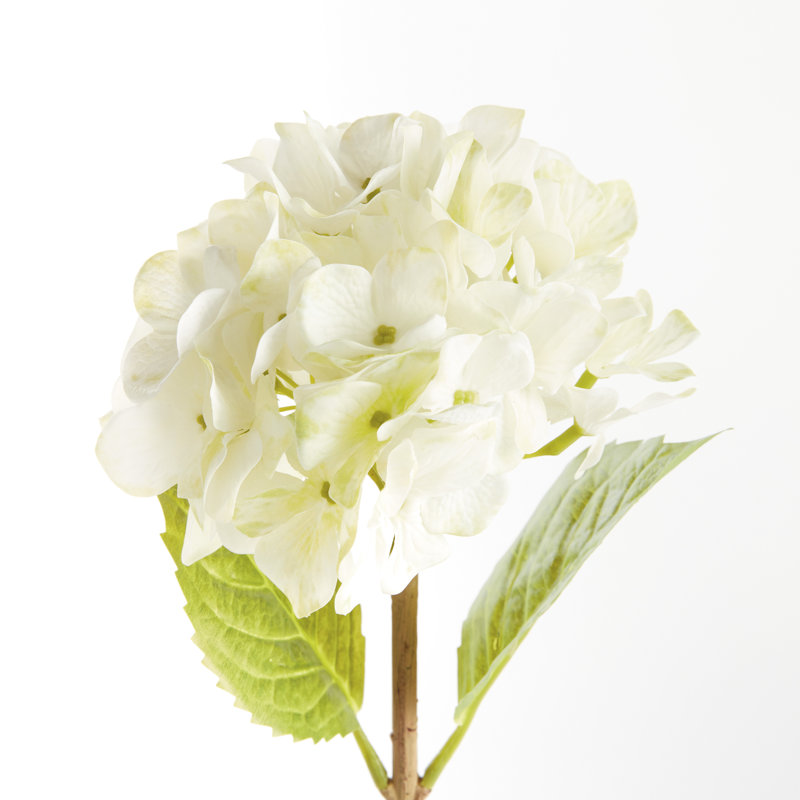 TIGES HYDRANGEA 18 po, ENSEMBLE DE 6, Blanc