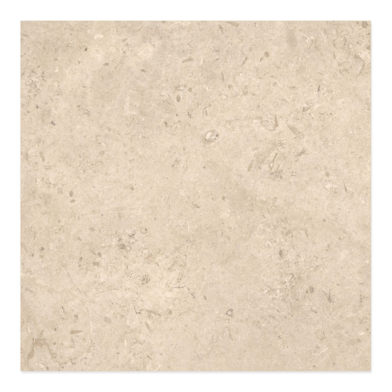 Fossil Stone Matte 24x24 Porcelain Floor & Wall Tile (15.5 Sq. Ft./Case), Tan