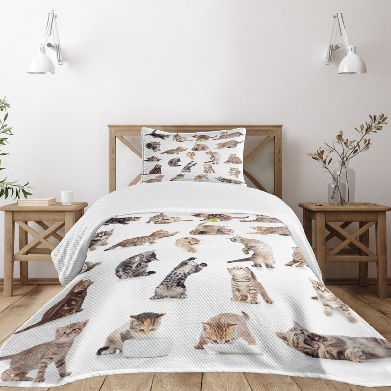 Ambesonne Ambesonne Cat Bedspread Set Funny Playful Cats Image Brown Black White