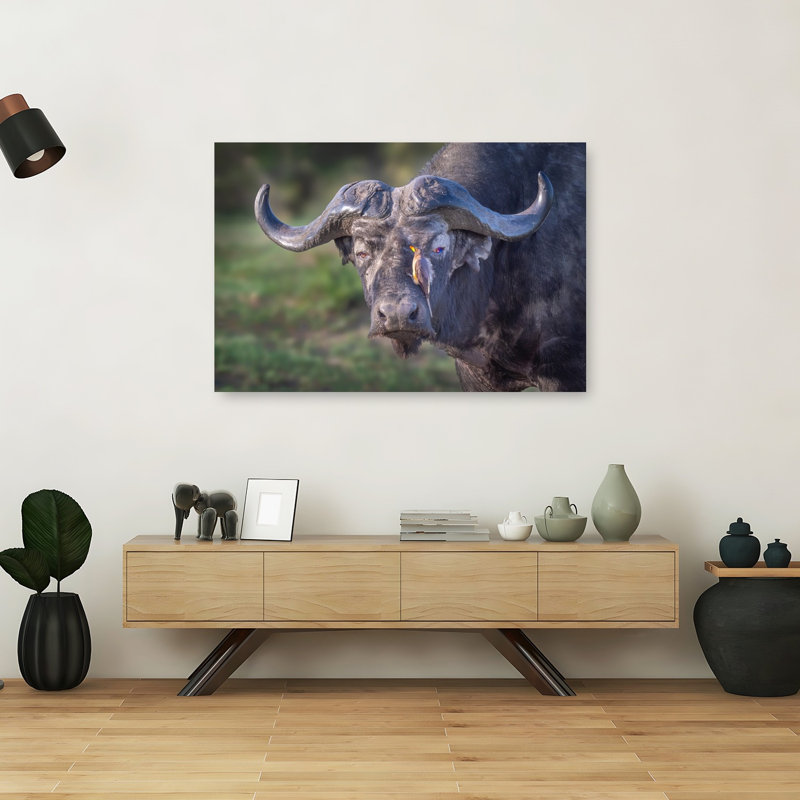 African Buffalo And Bird Contemporary Bird Buffalo Nature Portrait Wall Art Print by Jeffrey C. Sink - 1 Piece Wrapped Canvas Wall Art