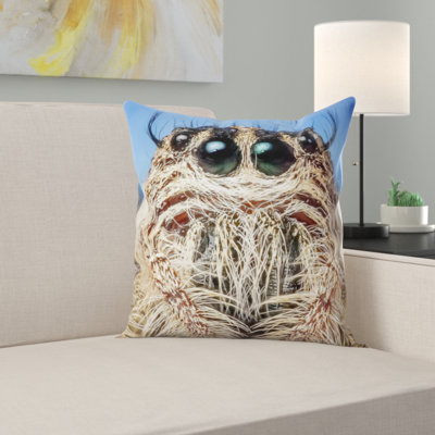 Coussin de spider saut