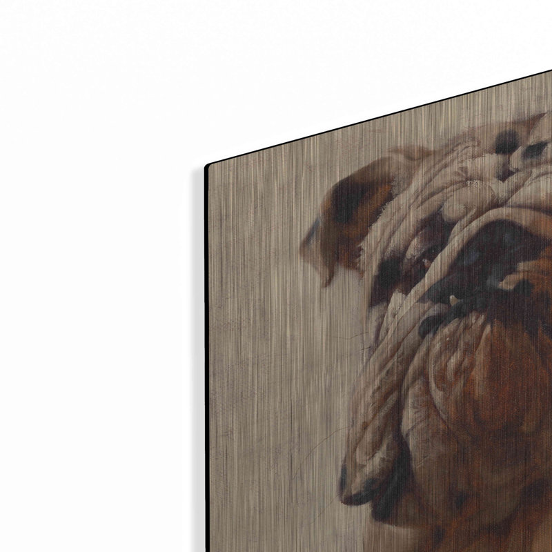 «Bulldog» par Thomas Fluharty, H 16 po x l 24 po