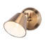 Harding Spotlight-25454781