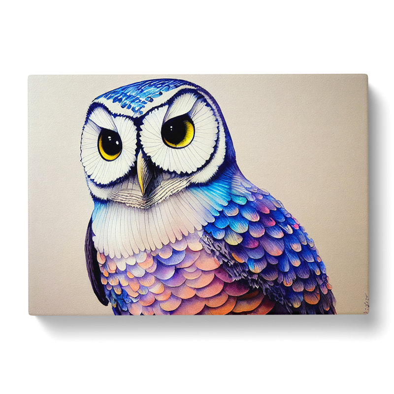 Barn Owl - Wrapped Canvas Print, 35cm H x 50cm W x 3cm D