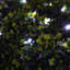 Stovall 500cm LED Solar Powered 50 - Bulb Fairy String Light-392956271