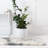 Indoor Rug-724711823