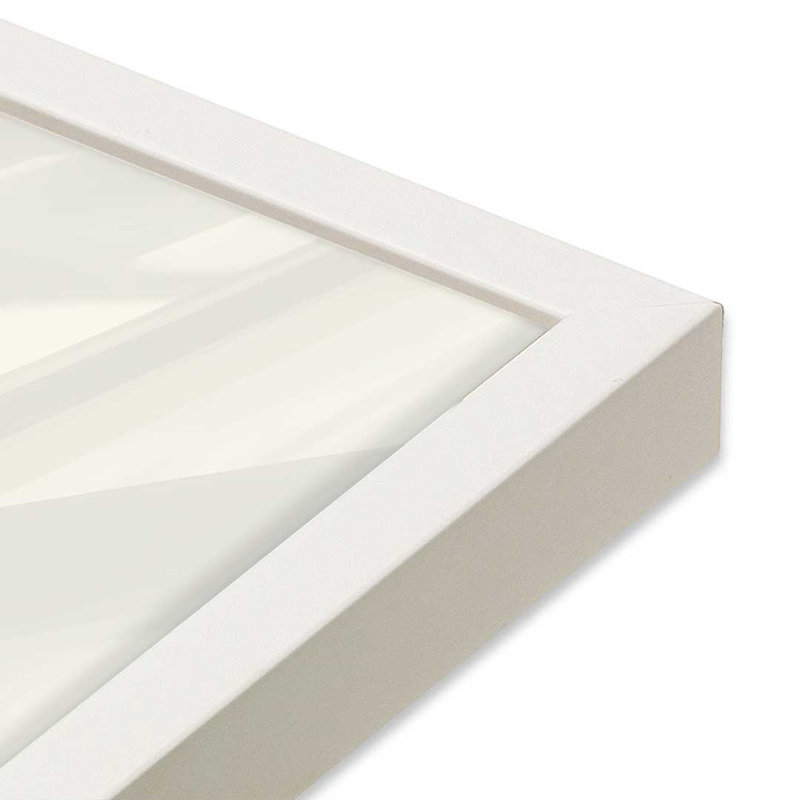 Ensemble de 2 impressions Petal Power Party, 36 po x 36 po, Impression encadrée, Blanc opaque