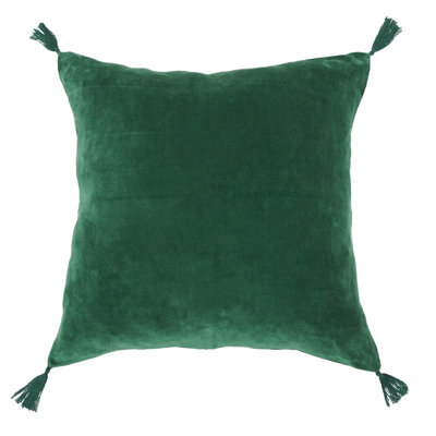 Rodrick 22" x 22" Cotton Throw Pillow