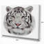 « white bengal tiger », peinture à l’animal-35120446-35120452
