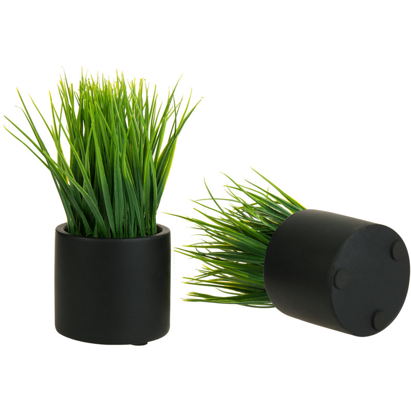 7.87'' Faux Grass in Black Cylindrical Cement Pots, Set of 2
