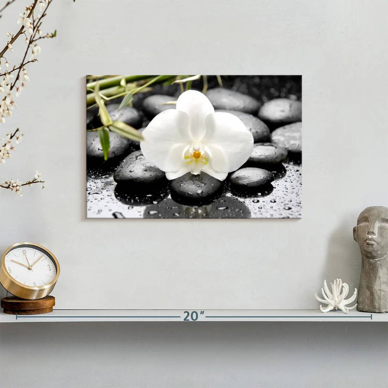 Harnek White Orchid, 8" H x 12" W