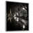 Silver Floater Framed