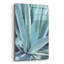 «Blue Agave» par Alana Clumeck - peinture sans cadre-148854008