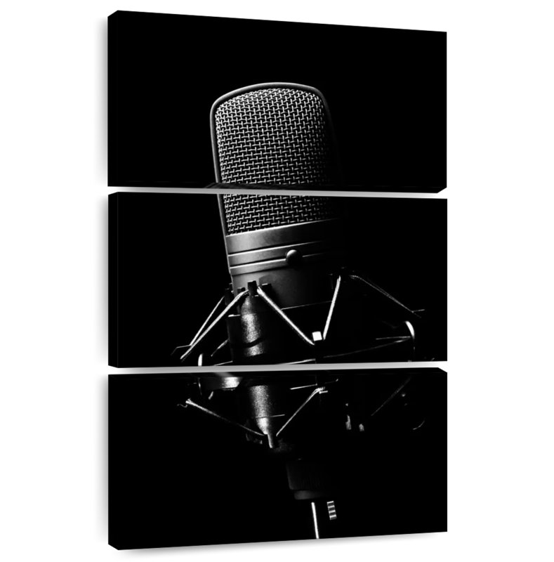Abarca Studio Microphone, 32" H x 20" W