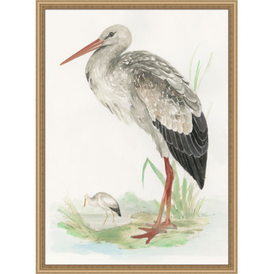 Oiseau d'eau 2 - Peinture encadrée sur papier