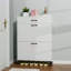 Armoire à chaussures pour le vestibule-317972101