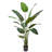 83'' Faux Banana Tree in Pot