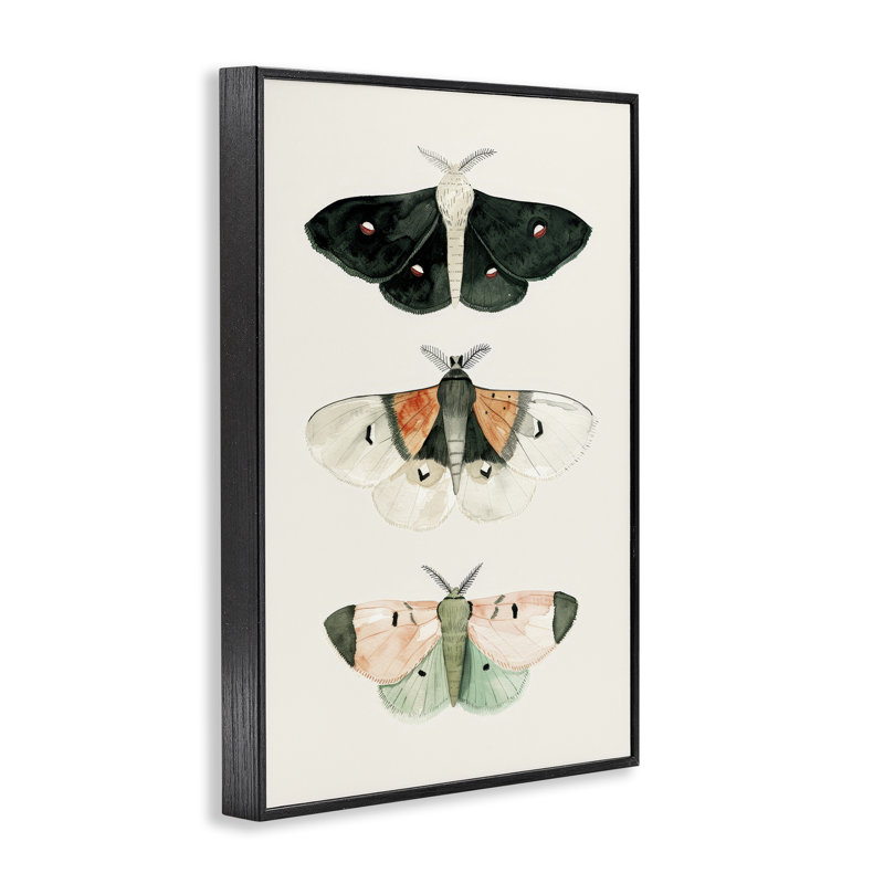 Trio de papillons de nuit assortis, estampe numérique par Petal Prints Design, Giclée encadrée noir minuit, H 30 po x l 20 po