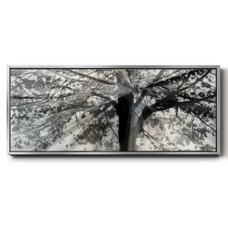 Storey From Light and Shadow- Framed Canvas, 20" H x 50" W