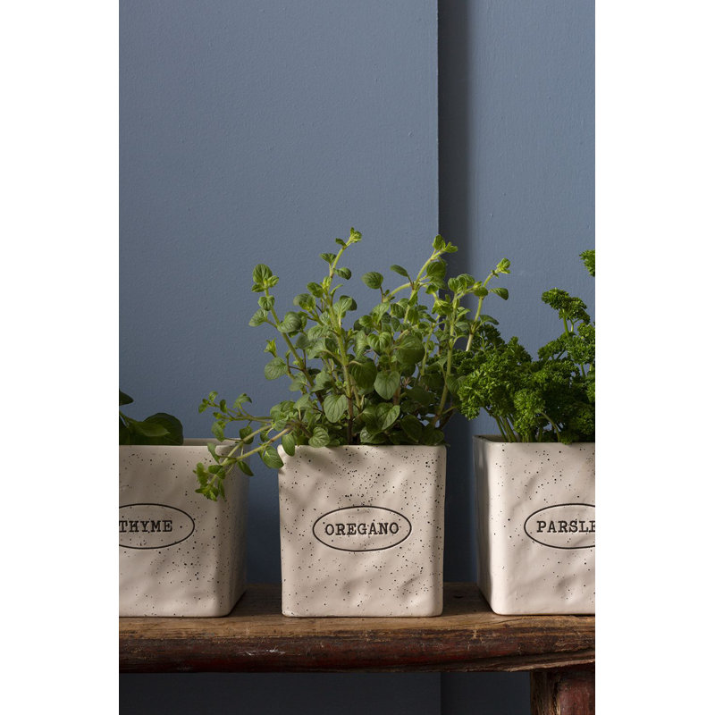 Oregano Green Ceramic Indoor/Outdoor Herb Pot