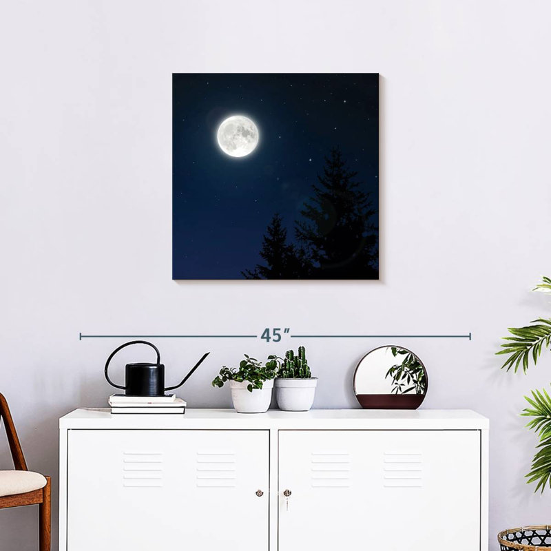 Pleine lune blanche Oberle, H 24 po x l 24 po
